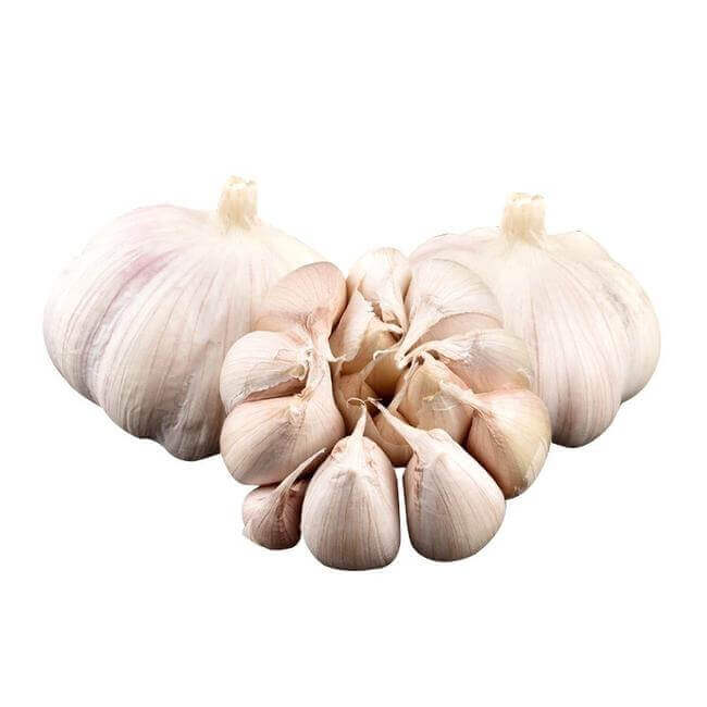 Garlic Drying Methods
